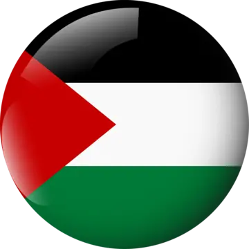 pngtree-palestine-round-flag-glossy-glass-effect-vector-transparent-background-png-image_11432533